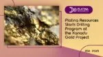 platina-resources-starts-drilling-program-at-the-xanadu-gold-project