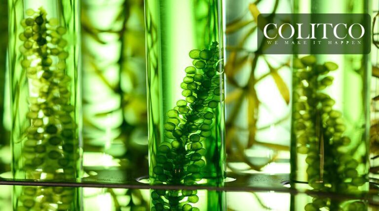 Australian Biotech Industry Some of the Best Biotech Companies in Australia