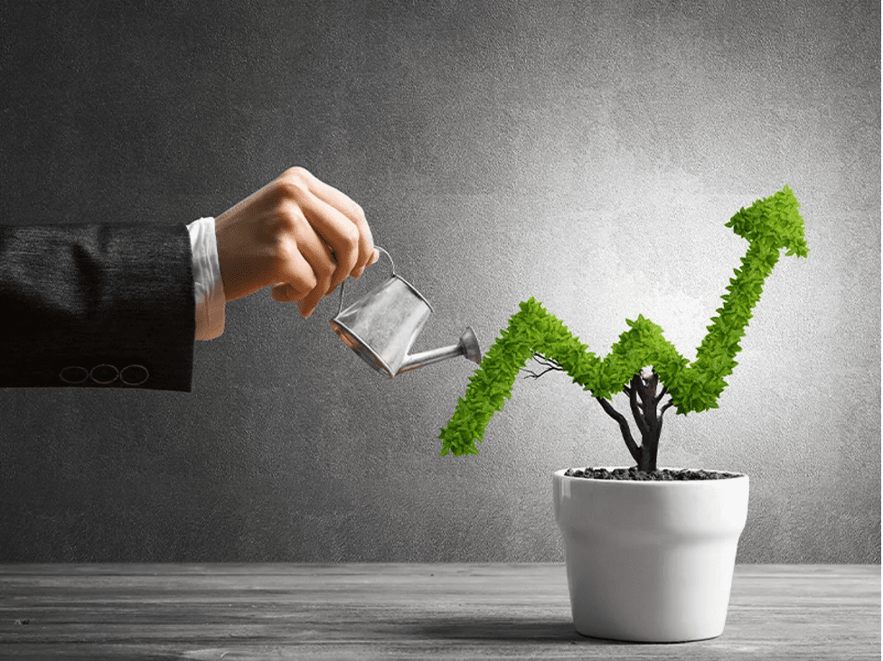 ASX Listed Stocks with Multibagger Potential