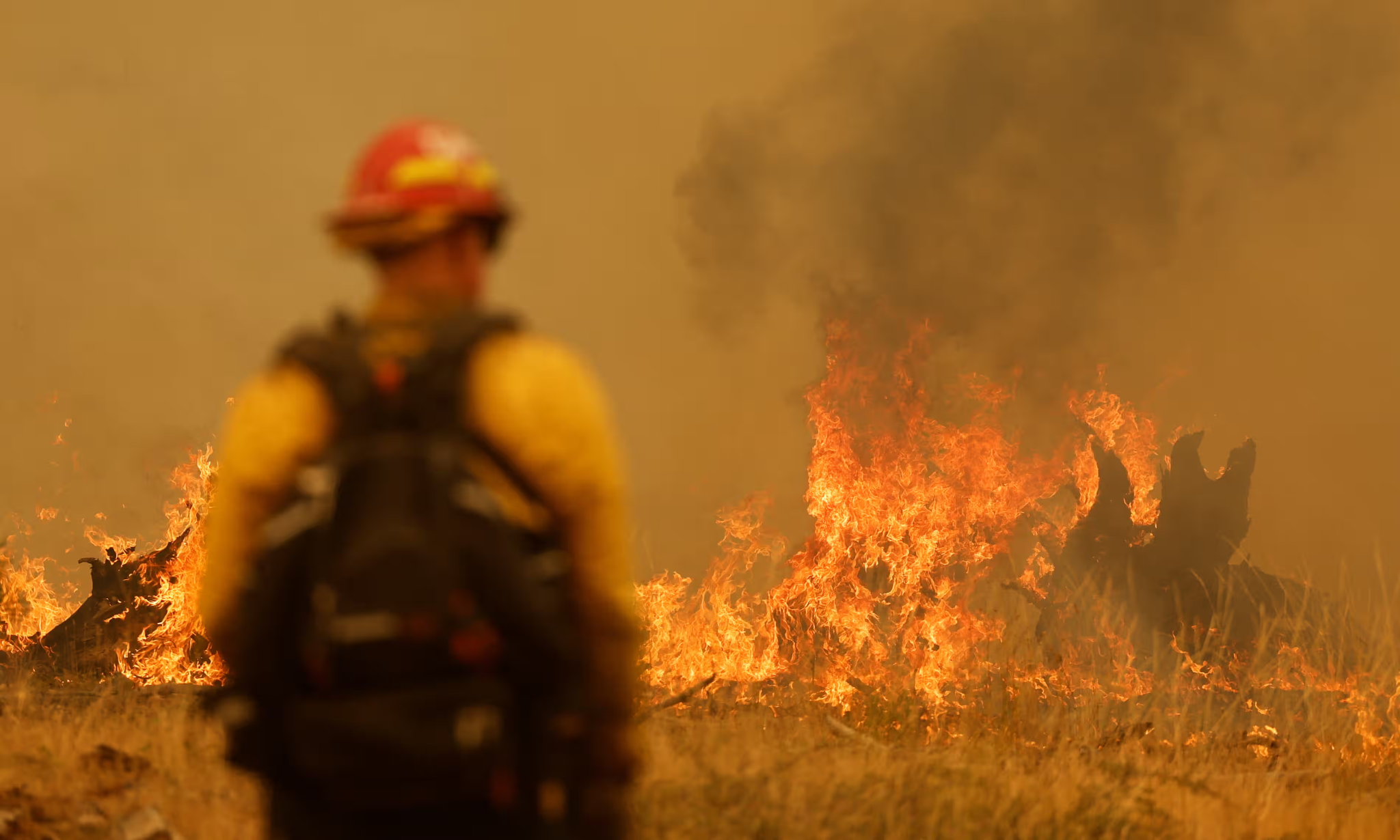 A firefighter keeps an eye on the flames near Paynes Creek, California, on July 28, 2024