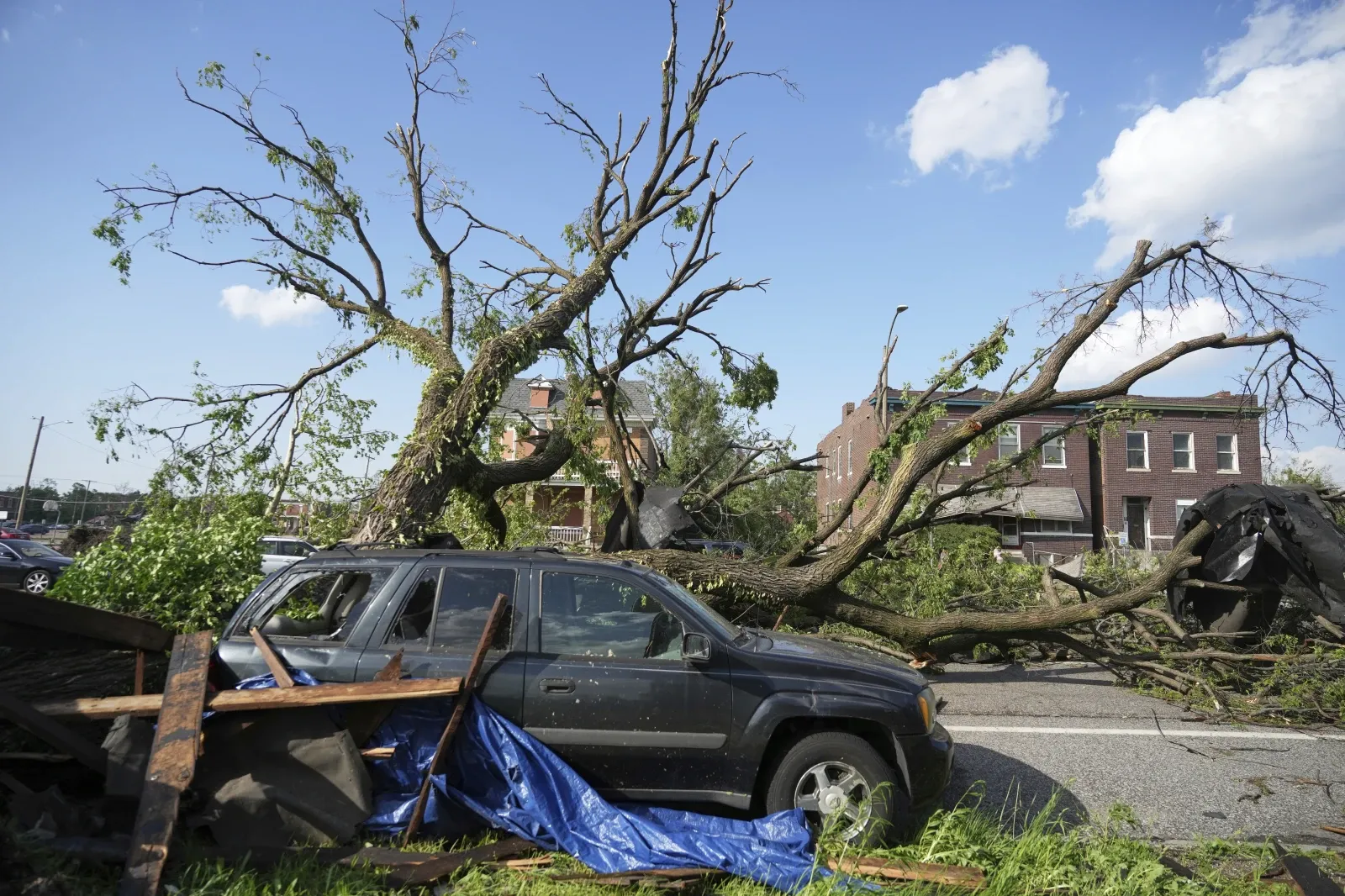 /Snapshot-of-the-devastation-a-huge-tree-has-blocked-the-road