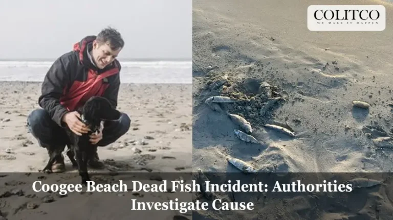Coogee Beach Dead Fish Incident: Authorities Investigate Cause
