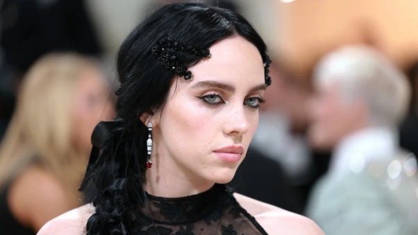  Billie Eilish at the Met Gala. Photo by Theo Wargo/Getty Images