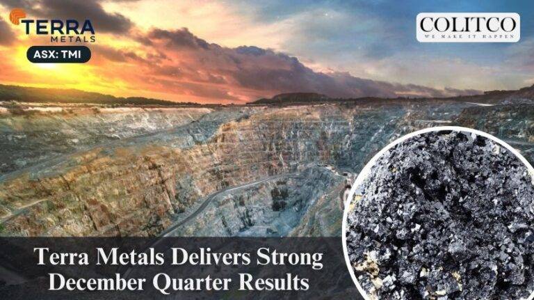 Terra Metals Reports Impressive December Quarter, Stock Surges Significantly