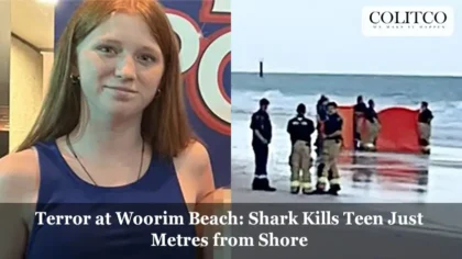 Terror at Woorim Beach: Shark Kills Teen Just Metres from Shore