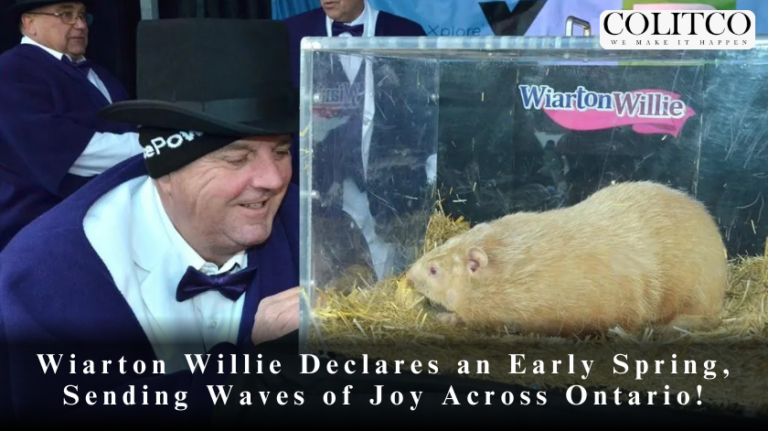 Wiarton Willie Declares an Early Spring, Sending Waves of Joy Across Ontario!