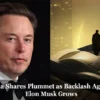 Tesla Shares Plummet as Backlash Against Elon Musk Grows