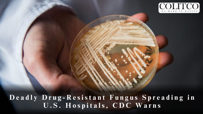 Deadly Drug-Resistant Fungs Spreading in US Hospital