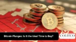Bitcoin Plunges_ Is It the Ideal Time to Buy