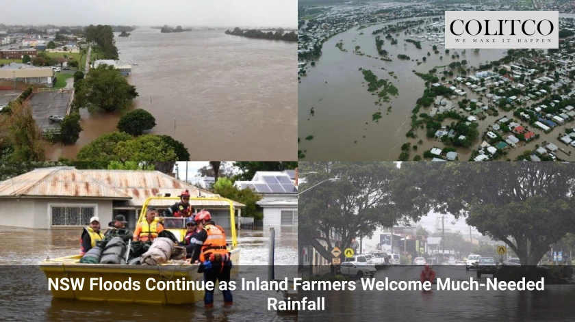 NSW Floods Continue as Inland Farmers Welcome Much-Needed Rainfall