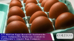 salmonella-egg-recall-august-egg-company-2025