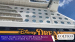 disney-dream-crew-rescues-father-and-child