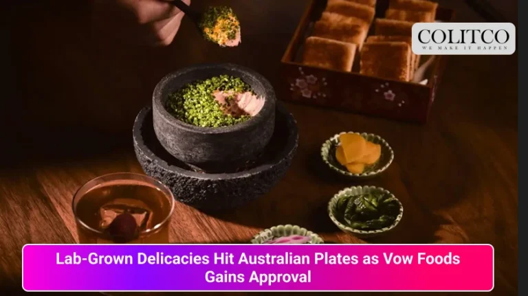 Mount Lewotobi Eruption Sends 10km Ash Cloud, Cancels Bali Flights and Forces Evacuations