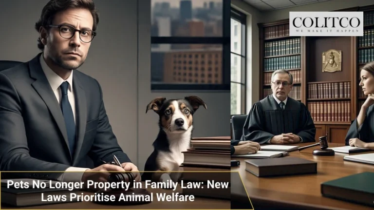 Pets No Longer Property in Family Law_ New Laws Prioritise Animal Welfare