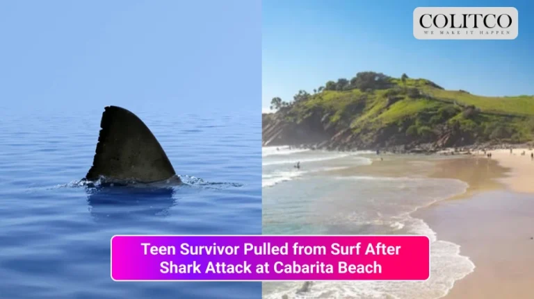 Teen Survivor Pulled from Surf After Shark Attack at Cabarita Beach