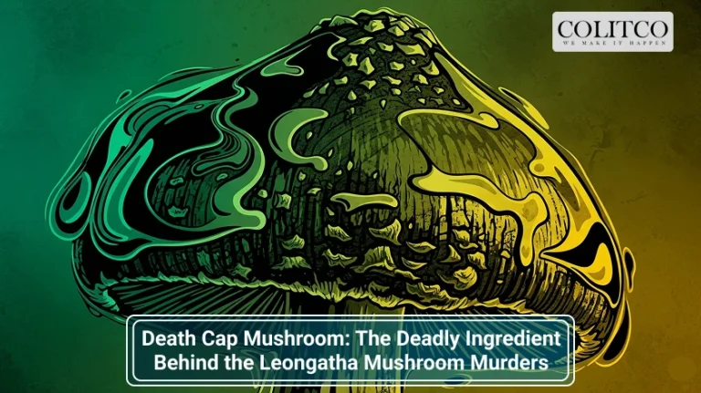 Death Cap Mushroom_ The Deadly Ingredient Behind the Leongatha Mushroom Murders