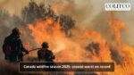 A multi-commodity story with potential near term gold production - 2025-08-19T163800.761
