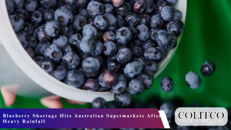 Blueberry Shortage Hits Australian Supermarkets After Heavy Rainfall