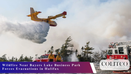 Wildfire Near Bayers Lake Business Park Forces Evacuations in Halifax