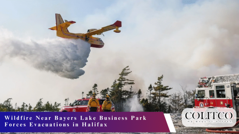 Wildfire Near Bayers Lake Business Park Forces Evacuations in Halifax