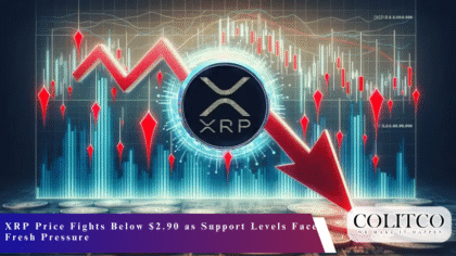 XRP Price Fights Below $2.90 as Support Levels Face Fresh Pressure