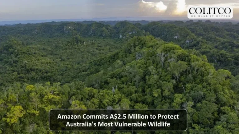 A multi-commodity story with potential near term gold production - 2025-09-25T140005.127