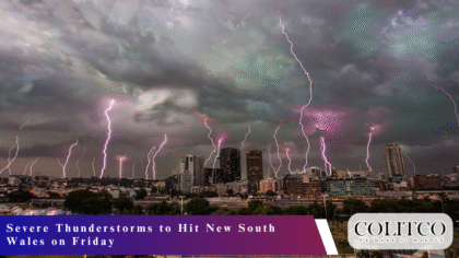 $70 Million Dormant Opal Cards to Be Claimed by NSW Government (2)