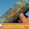 A multi-commodity story with potential near term gold production (5)