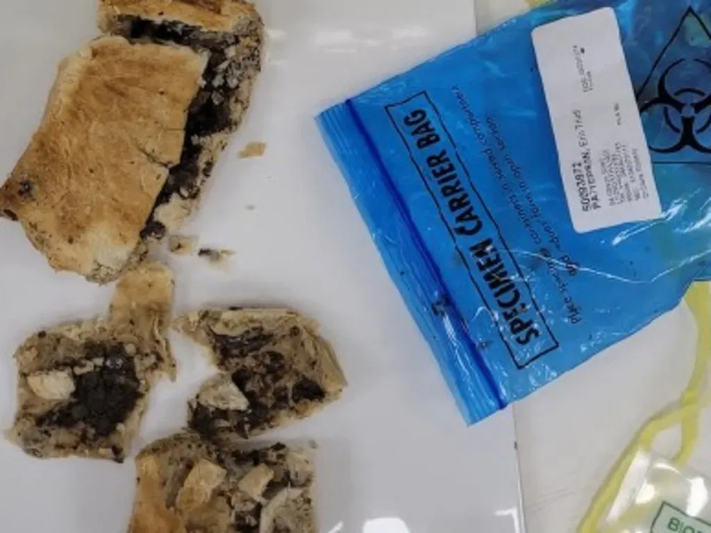 Leftover mushroom lunch retrieved from Erin Patterson’s residence.