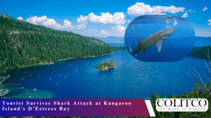 Tourist Survives Shark Attack at Kangaroo Island’s D’Estrees Bay