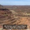 Mt Olympus Gold Project Pilbara Shows High-Margin Potential Featured Image (2)