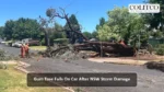 Gum Tree Falls on car After Nsw Storm Damage