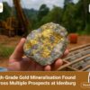 Far East Gold Confirms District-Scale Mineralisation Potential at Idenburg Project High Grade Gold Mineralisation Found Acros Multiple Prospects at Idenburg
