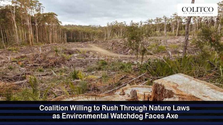 Coalition offers support for Labor's nature laws | Colitco