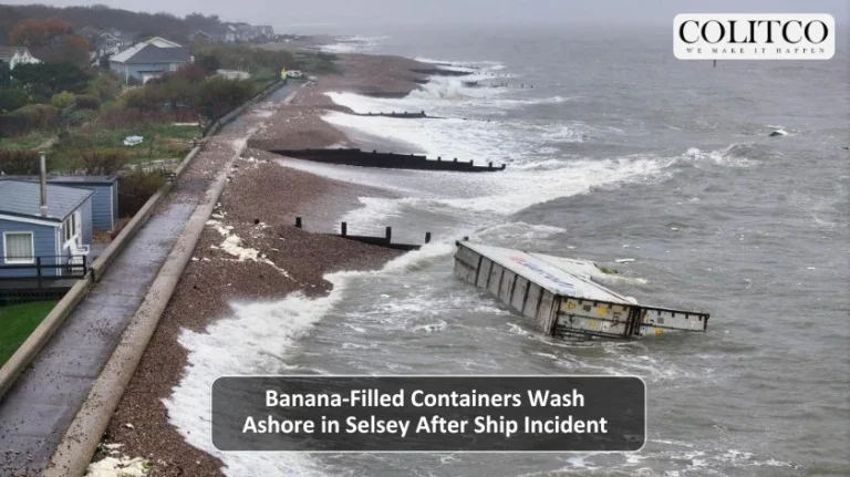 Banana Filled Containers Wash Ashore in Selsey After Ship Incident