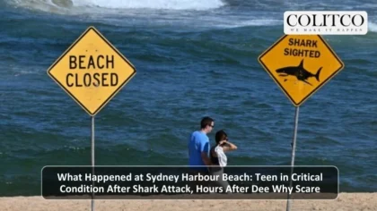 What Happend at Sydney Harbour Beach Teen in critical Condoitrion after Shark Attack Hours After dee Why scare