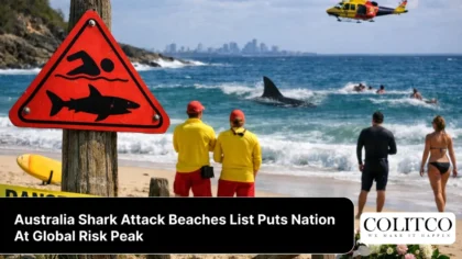 Australia Shark Attack Beaches List Puts Nation At Global Risk Peak