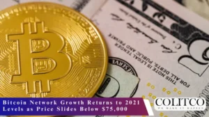 Bitcoin Network Growth Returns to 2021 Levels as Price Slides Below $75,000