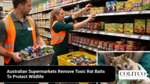 Australian Supermarkets Remove Toxic Rat Baits To Protect Wildlife