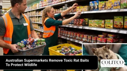 Australian Supermarkets Remove Toxic Rat Baits To Protect Wildlife