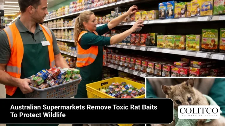 Australian Supermarkets Remove Toxic Rat Baits To Protect Wildlife