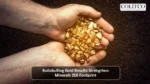 Bullabulling Gold Results Strengthen Minerals 260 Footprint