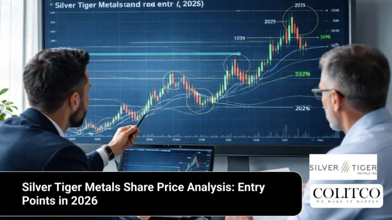 Silver Tiger Metals Share Price Analysis: Entry Points in 2026
