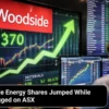 Why Woodside Energy Shares Jumped While Materials Lagged on ASX