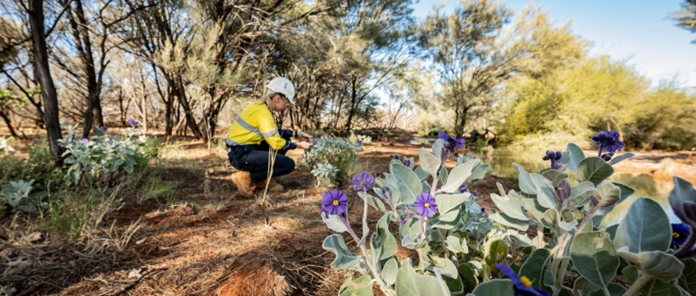 Degrussa biodiversity field assessment site survey