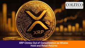XRP Climbs Out of Consolidation as Whales Hold and Retail Returns
