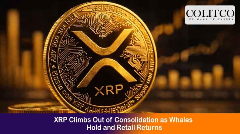 XRP Climbs Out of Consolidation as Whales Hold and Retail Returns
