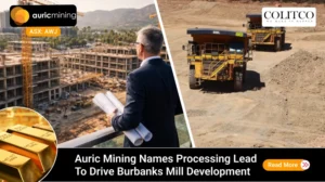 Auric Mining Names Processing Lead to Drive Burbanks Mill Development
