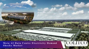 Meta AI Data Centre Electricity Demand Shocks Market
