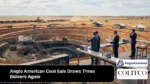 anglo american coal sale three bidders mining assets